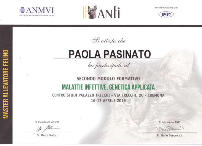 gatti, sacri di birmania, malattie, attestato
