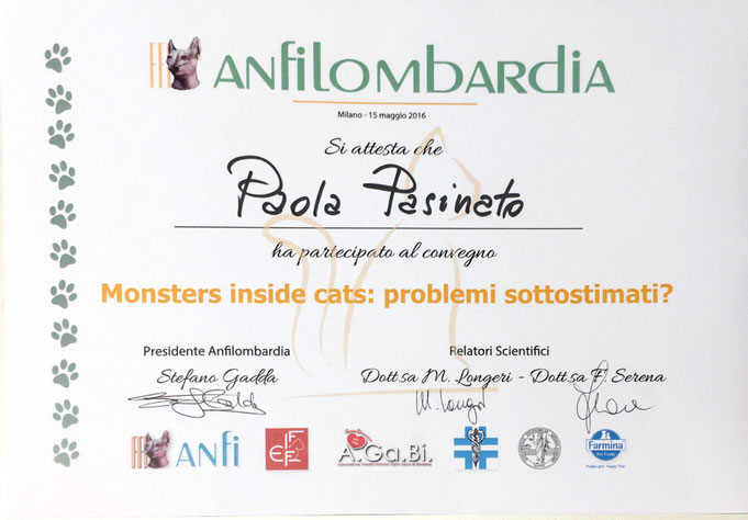 attestato, gatti, sacro di birmania, allevatore, master allevatore, felini