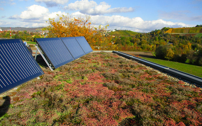 Solar Gründach im Raum Stuttgart