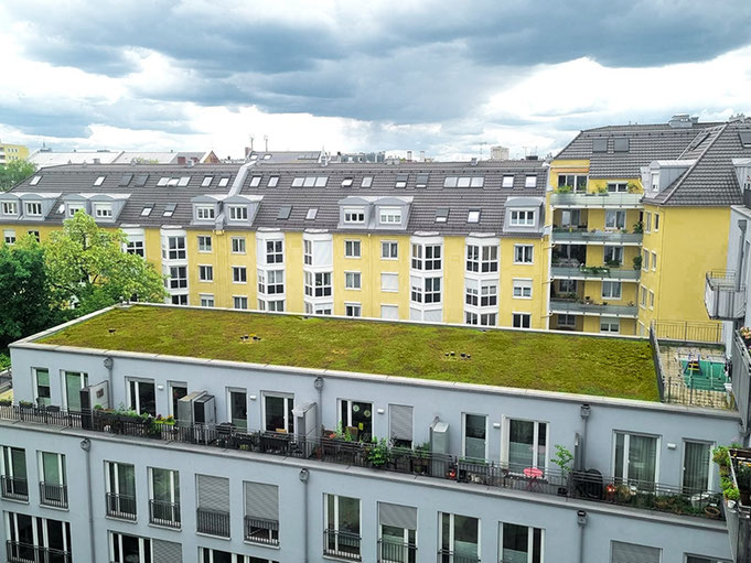 Sedumdach Pflege & Kontrolle München