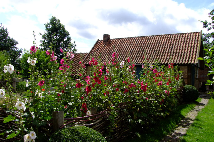 Der Bauerngarten - 1517228679s Webseite!