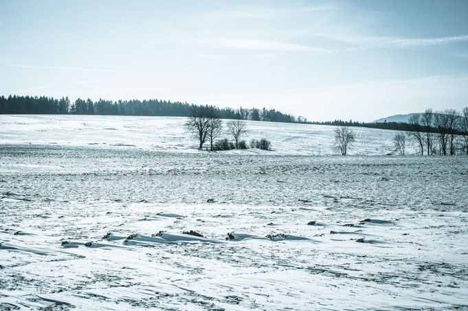 Alles von Schnee zugeweht