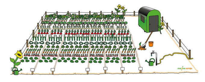 Mein eigener Garten - meine ernte - Gemuesegarten fuer Alle - bahce