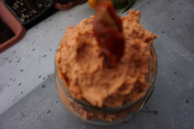 pikanter Frischkase Dip für Gemuese mit Tomaten