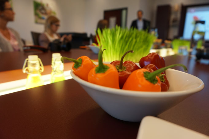 Alles Tomate Kresse und Vla oder was?|Bloggerreise in Holland