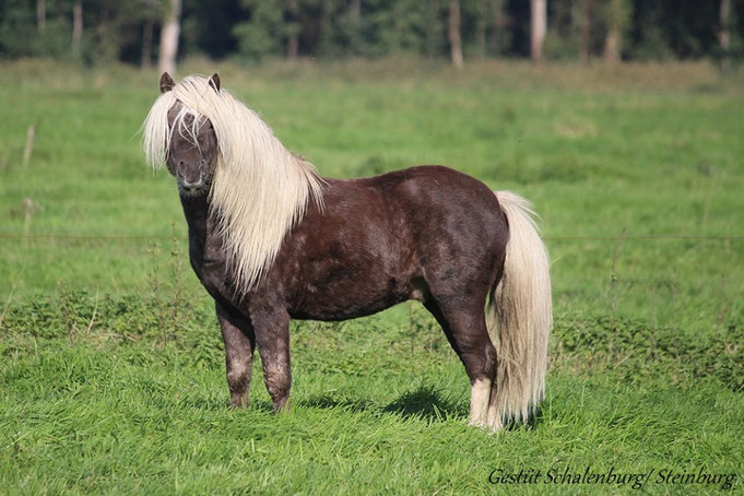 Oktober 2019 - Foto: T. Ehlers