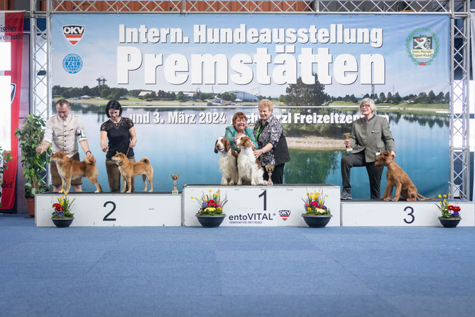 Best in Show Paarklasse Platz 2, CACIB Premstätten Hundeausstellung, Richter Liz Gonzalez, Dog Handling Pamela Vorderleitner, Dog Handling Eduard Vorderleitner
