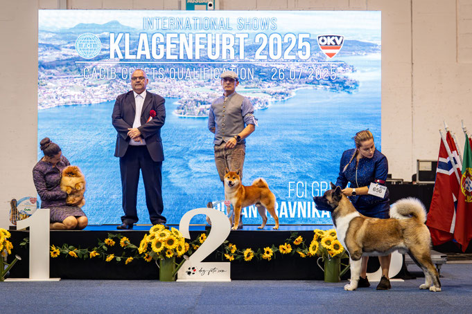 CACIB Klagenfurt, Ed Vorderleitner, Dusan Travnikar
