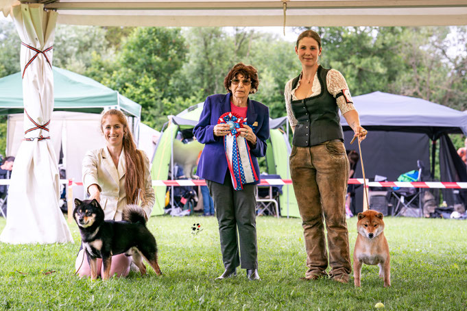 Best in Show Paarklasse Platz 2, CACIB Premstätten Hundeausstellung, Dog Handling Eduard Vorderleitner