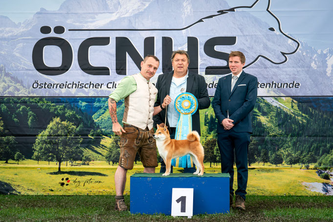 Best in Show Paarklasse Platz 2, CACIB Premstätten Hundeausstellung, Richter Liz Gonzalez, Dog Handling Pamela Vorderleitner, Dog Handling Eduard Vorderleitner