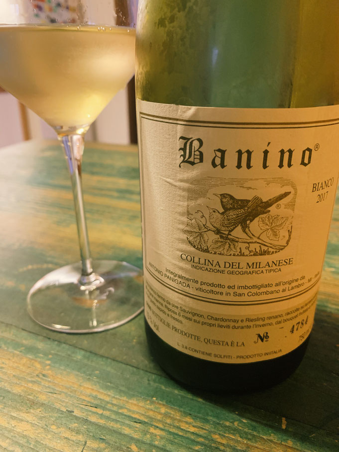 Banino Bianco Igt Collina del Milanese 2017