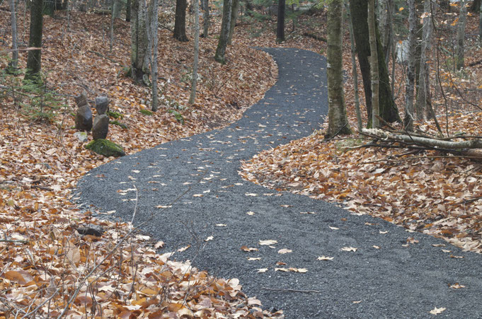 Distant Hill Nature Trail is now a mile long, giving access to four vernal pools and a forest seep.