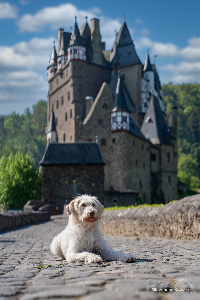 Arya vor Burg Eltz