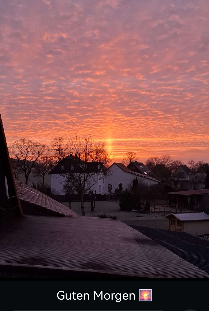 Foto: Anke Zarske