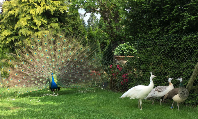 Frühling 2016