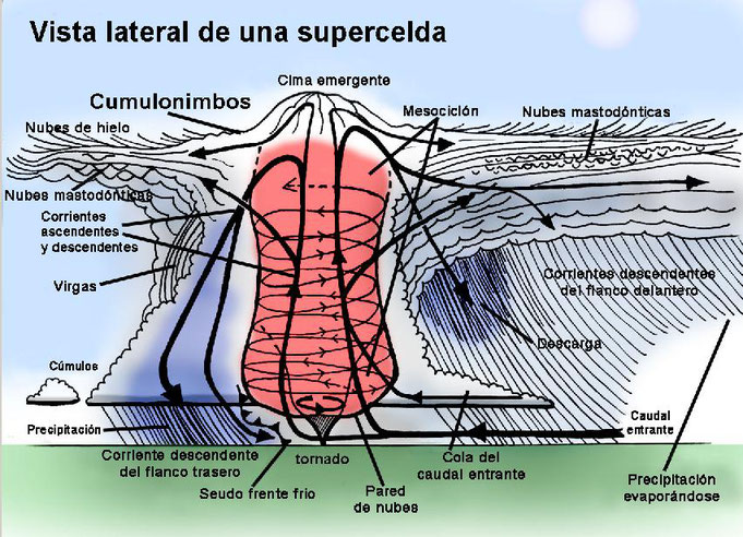 Tornado supercelda -Fuente Internet