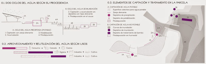 Arquitecta Clara Medina