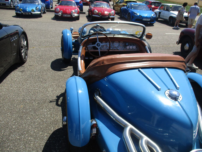 Alpine Excalibur 35x Acasienne