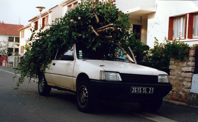 peugeot 205 camouflage végétaux 4x4