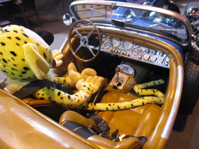 EXCALIBUR 35X AUTO MOTO CLASSIC STRASBOURG MARSUPILANI