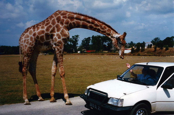 peugeot 205 gyraphe parebuffle