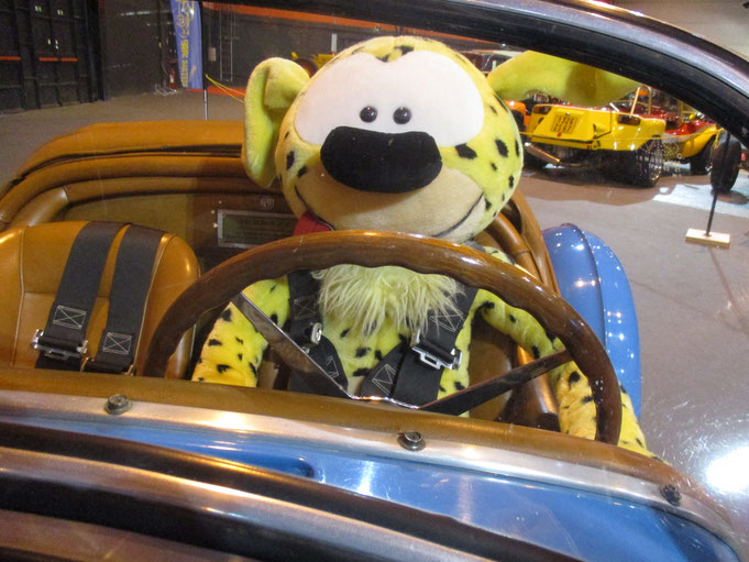 EXCALIBUR 35X AUTO MOTO CLASSIC STRASBOURG MARSUPILANI