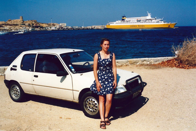 peugeot 205 parebuffle corse 4x4