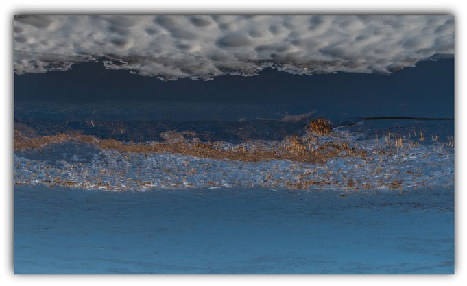 Farbe im Reich des Wachtelkönigs       20.01.2026