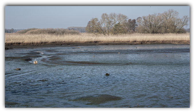 Wattstuhl und Watteimer im Watt