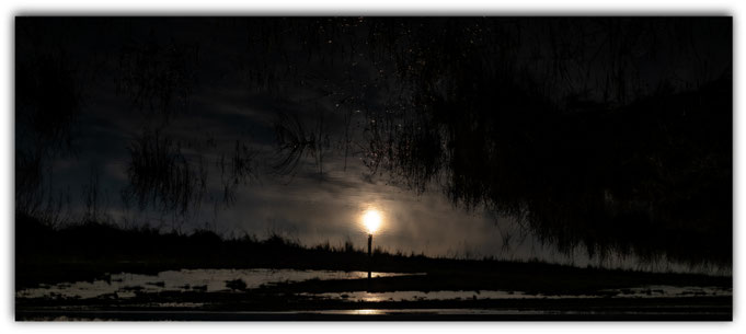 ein mooriges Irrlicht          19.03.2026