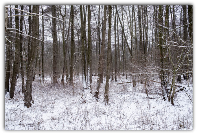 Winterfarben
