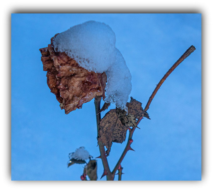 Keine Lust mehr auf den Frost                   18.02.2026