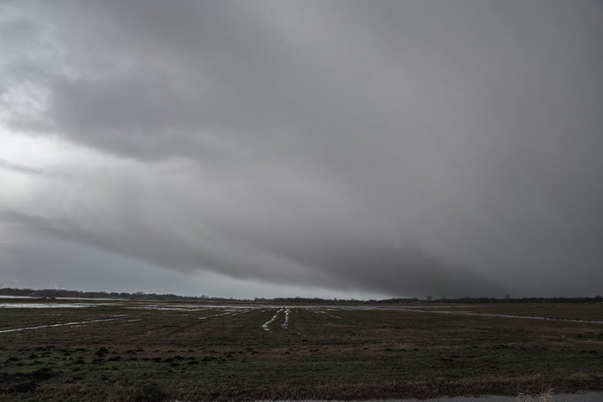 Regen 