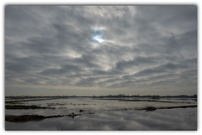 Mittagsstimmung             25.02.2026