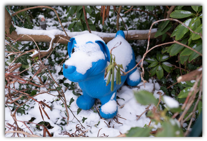 im Garten 