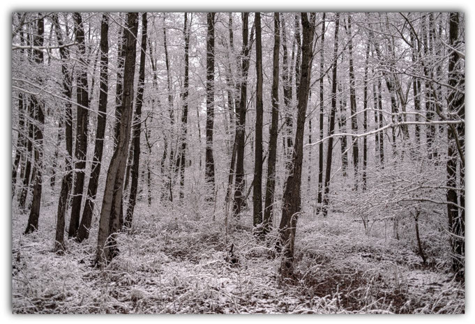 Winterfarben 2.0        13.02.2026