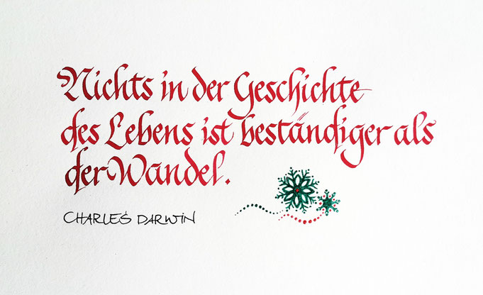 Kalligrafie Zitat Charles Darwin