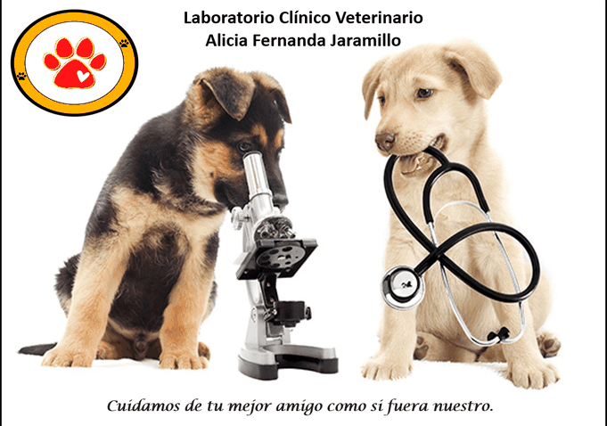 Laboratorio Clínico Alicia Fernanda Jaramillo, Pruebas de Laboratorio en Palmira, Laboratorio Clínico Veterinario.