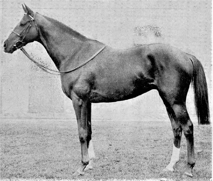 "Le Fabuleux" premier champion né du Quesnay