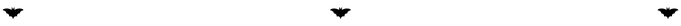 Fledermaus