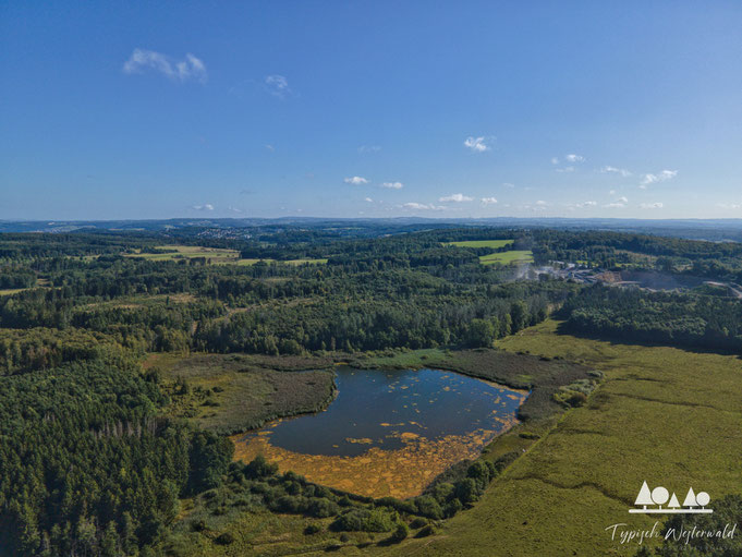 Wölferlinger Weiher