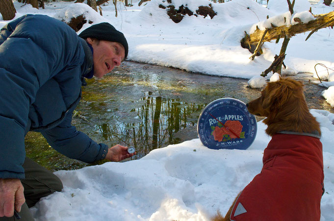 We had 43℉ (5.5℃) water in the black ash seep at Distant Hill Gardens when the air was 14℉ (-10℃).