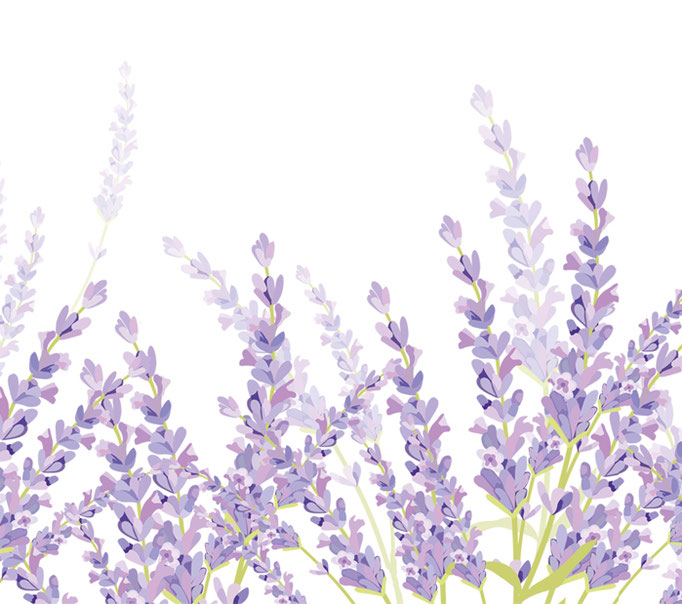 nachhaltige ECO Vliesbordüre mit Blütenmotiven in Aquarell Art - Lavendel