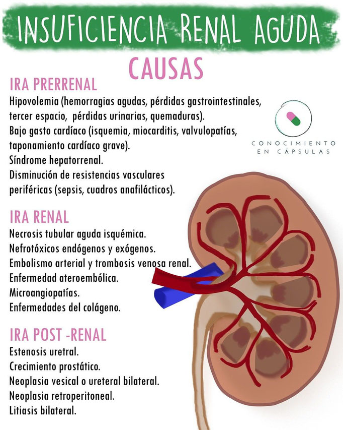 Calculadora Relacion BUN/Creatinina