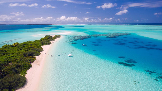 Urlaub Seychellen Malediven Vivid Money
