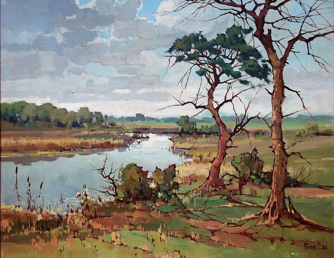 Peter Cox, schilderij olieverf landschap te koop.