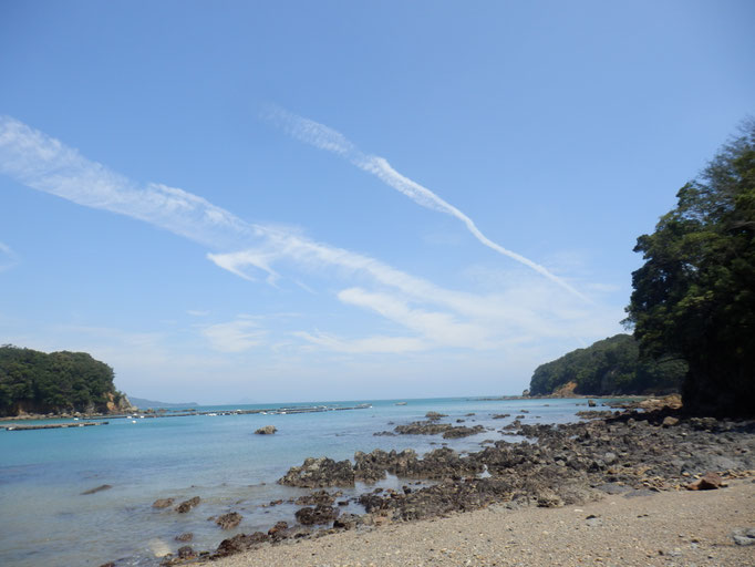 イグアノドンの足跡化石現場がピンチ 鳥羽恐竜研究振興会