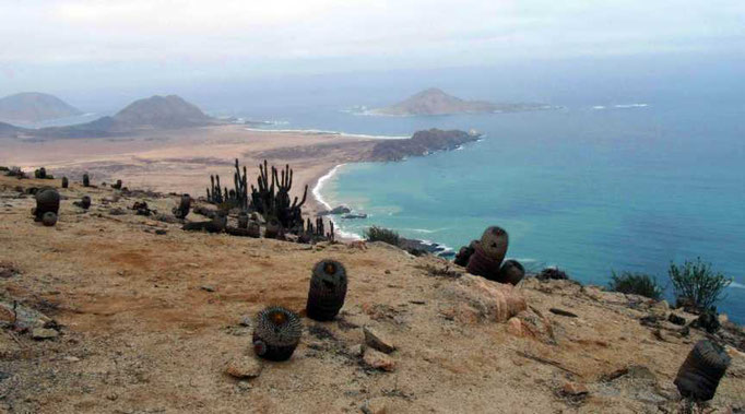 Pan de Azúcar