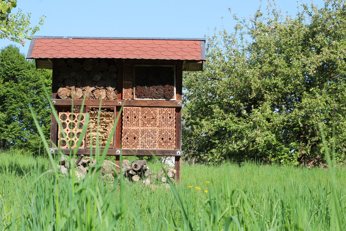 Insektenhotel auf der grünen Wiese