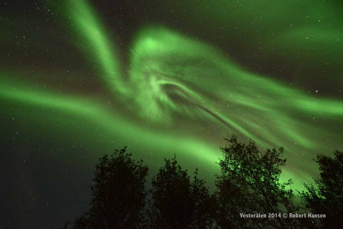 Nordlys - Polar Light - Nordlicht. Hadsel/Vesterålen, 17.09.2014, 00:39 © Robert Hansen